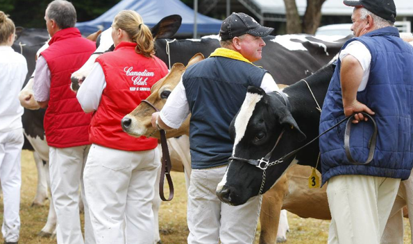 The Heytesbury Show returns for its 78th year.